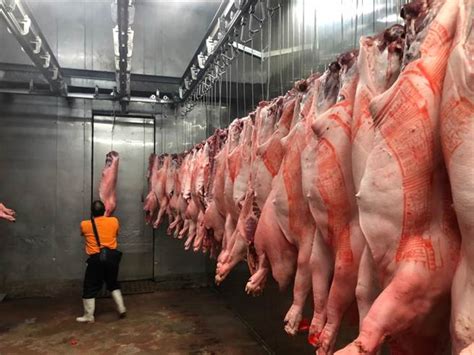 台中 市 大安 區 肉 品 市場